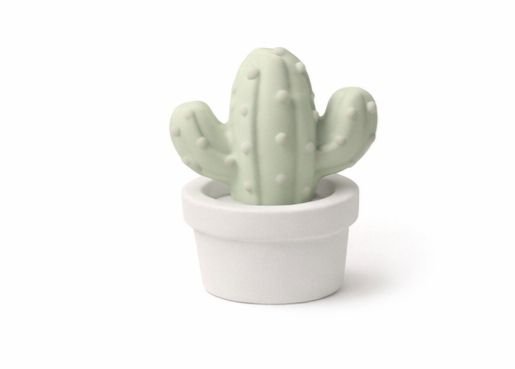 whatsapp image 2026 02 24 at 17.44.25